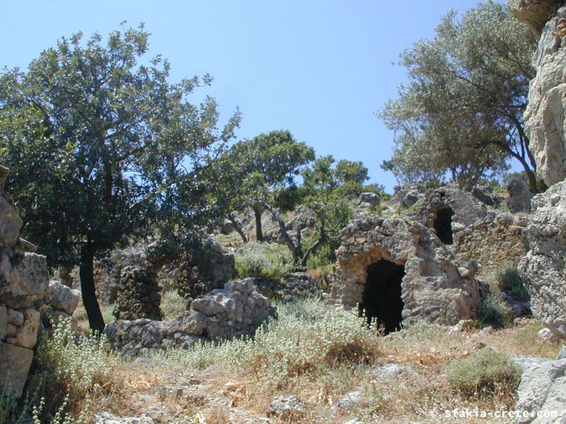 Photo report of a stay in and around Sfakia and Crete, May 2008